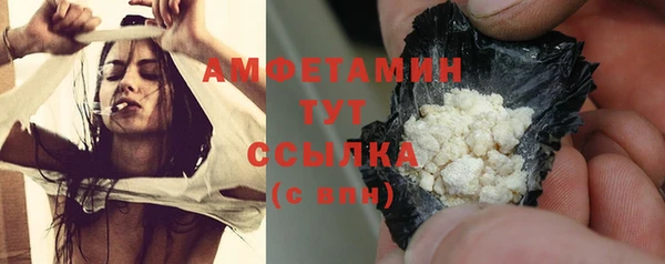молекула духа Надым