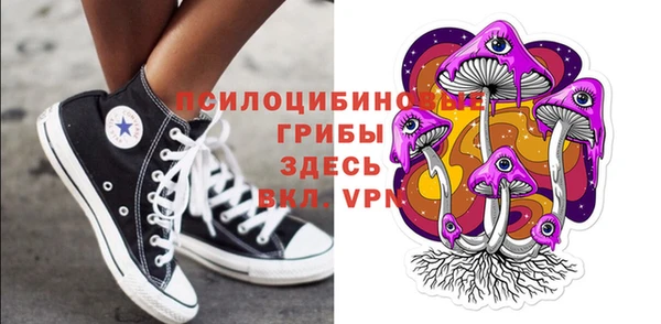 2c-b Михайловка