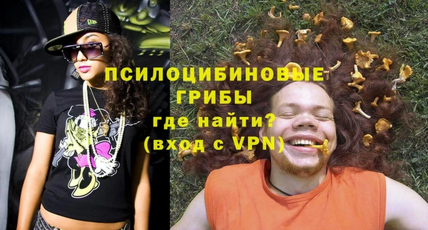молекула духа Надым