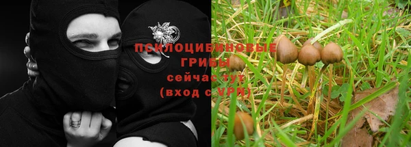 COCAINE Михайловск