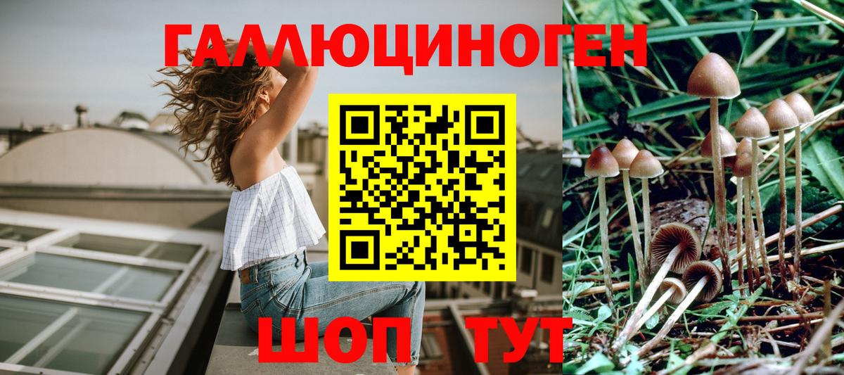 Псилоцибиновые грибы мухоморы  купить наркотик  Галлюциногенные грибы Magic Shrooms  Нальчик  Вход с VPN 