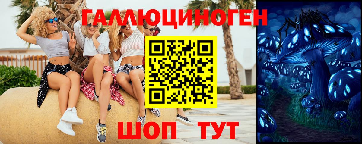 Псилоцибиновые грибы мицелий Нальчик