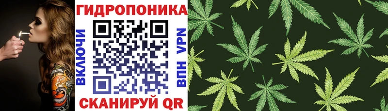 МАРИХУАНА ГИДРОПОН  ссылка на мегу как войти  Нальчик 